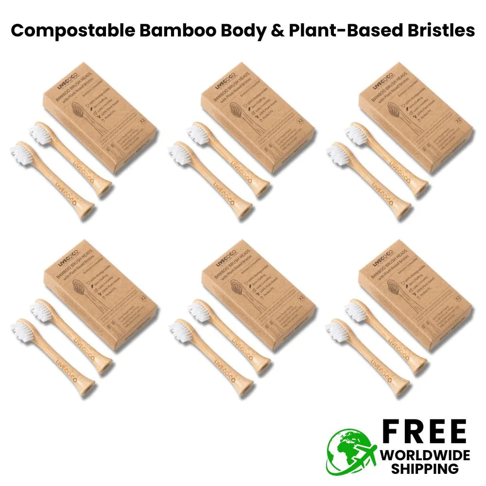 LiveCoco komposztálható elektromos fogkefefej (Philips) – természetes tisztaság, hulladék nélkül - Ayuna Ritual